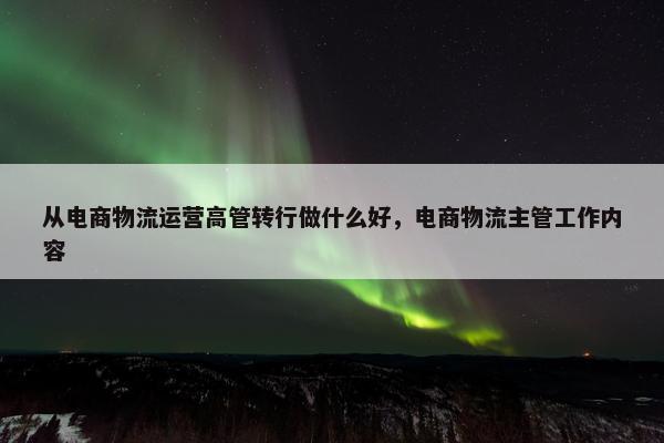 从电商物流运营高管转行做什么好，电商物流主管工作内容