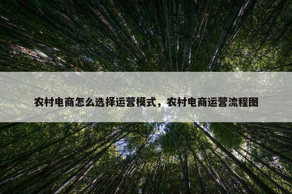 农村电商怎么选择运营模式，农村电商运营流程图