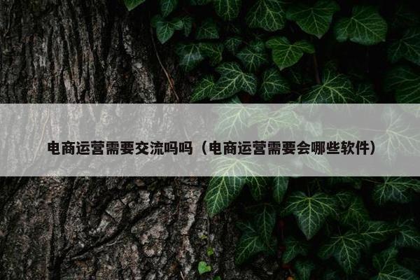 电商运营需要交流吗吗（电商运营需要会哪些软件）