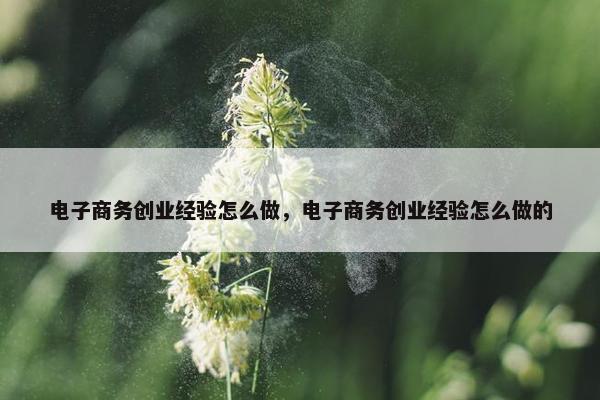 电子商务创业经验怎么做，电子商务创业经验怎么做的