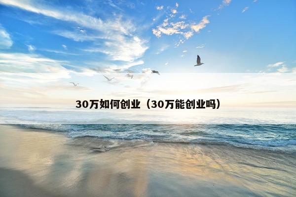 30万如何创业（30万能创业吗）