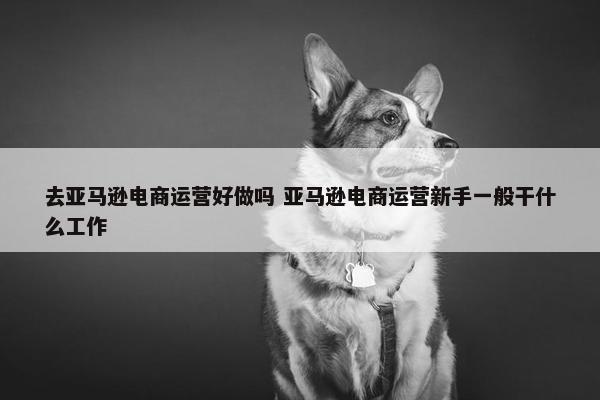 去亚马逊电商运营好做吗 亚马逊电商运营新手一般干什么工作