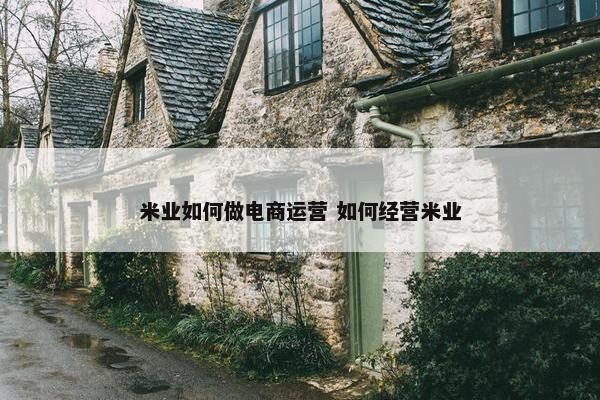 米业如何做电商运营 如何经营米业