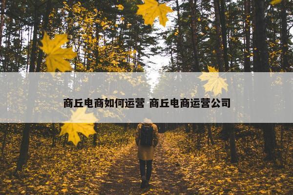 商丘电商如何运营 商丘电商运营公司