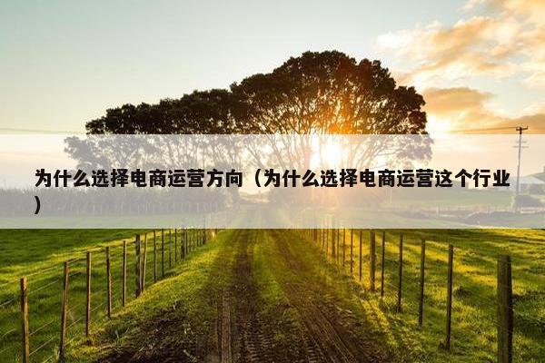 为什么选择电商运营方向（为什么选择电商运营这个行业）