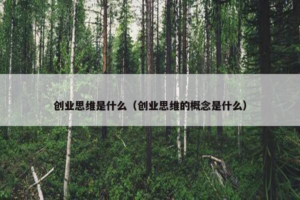 创业思维是什么（创业思维的概念是什么）