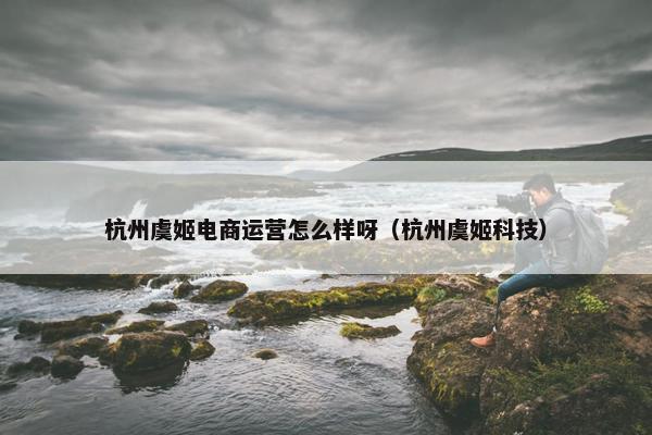 杭州虞姬电商运营怎么样呀（杭州虞姬科技）