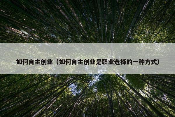 如何自主创业（如何自主创业是职业选择的一种方式）