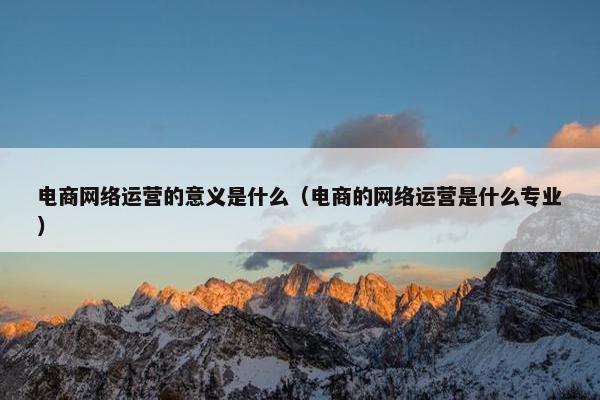 电商网络运营的意义是什么（电商的网络运营是什么专业）