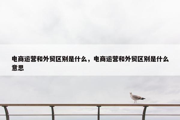 电商运营和外贸区别是什么，电商运营和外贸区别是什么意思