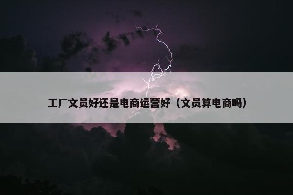 工厂文员好还是电商运营好（文员算电商吗）