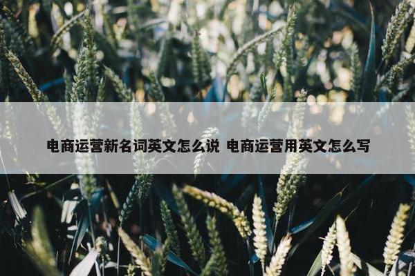 电商运营新名词英文怎么说 电商运营用英文怎么写