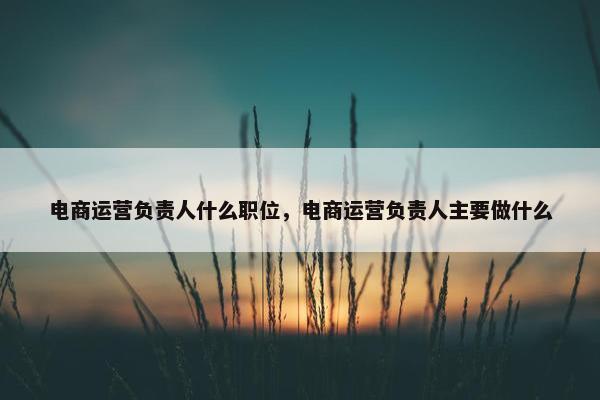 电商运营负责人什么职位，电商运营负责人主要做什么