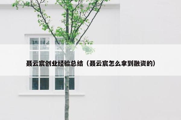 聂云宸创业经验总结（聂云宸怎么拿到融资的）