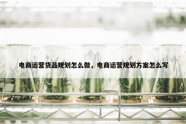 电商运营货品规划怎么做，电商运营规划方案怎么写