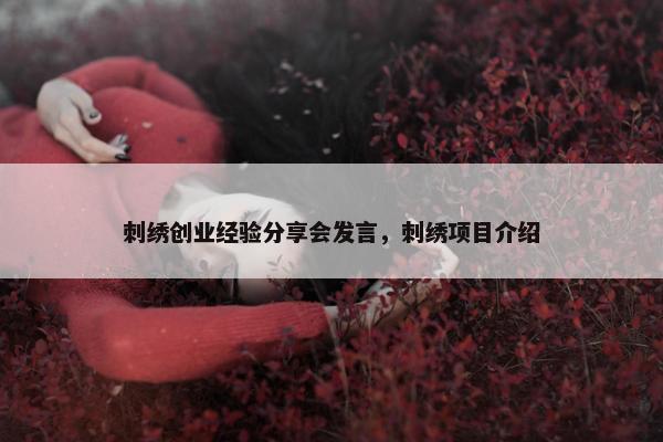 刺绣创业经验分享会发言，刺绣项目介绍