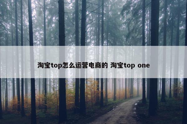 淘宝top怎么运营电商的 淘宝top one