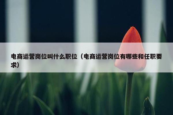 电商运营岗位叫什么职位（电商运营岗位有哪些和任职要求）