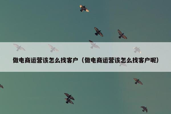 做电商运营该怎么找客户（做电商运营该怎么找客户呢）