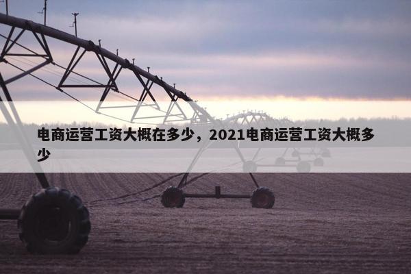 电商运营工资大概在多少，2021电商运营工资大概多少