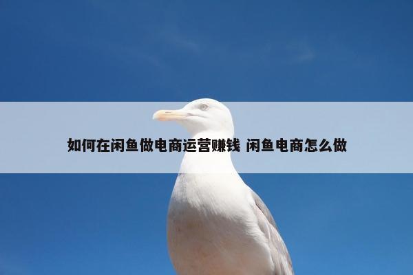 如何在闲鱼做电商运营赚钱 闲鱼电商怎么做