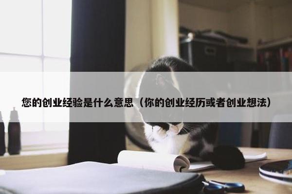 您的创业经验是什么意思（你的创业经历或者创业想法）