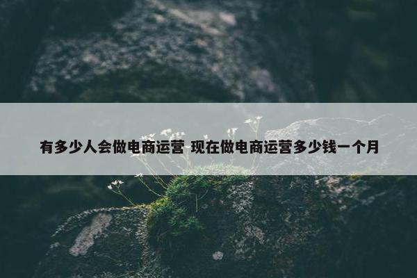 有多少人会做电商运营 现在做电商运营多少钱一个月