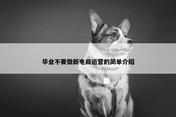 毕业不要做新电商运营的简单介绍