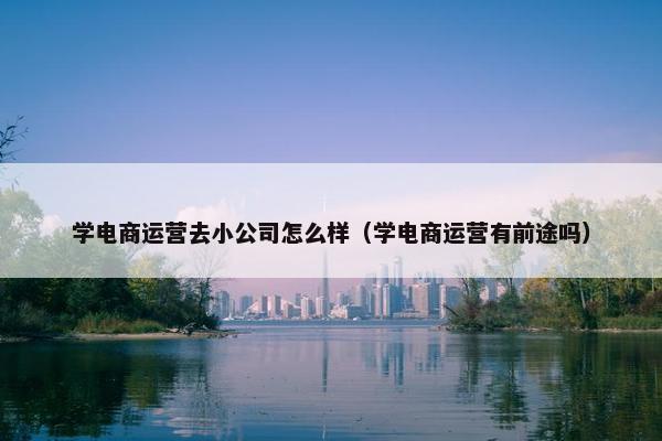 学电商运营去小公司怎么样（学电商运营有前途吗）