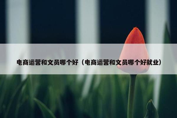 电商运营和文员哪个好（电商运营和文员哪个好就业）