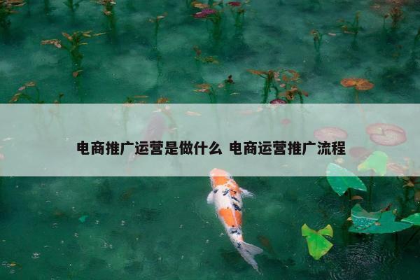 电商推广运营是做什么 电商运营推广流程