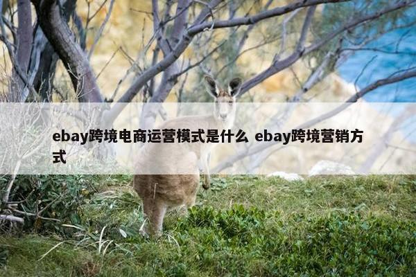 ebay跨境电商运营模式是什么 ebay跨境营销方式