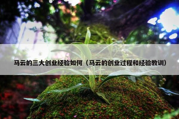 马云的三大创业经验如何（马云的创业过程和经验教训）