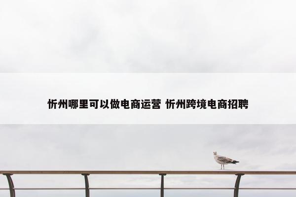 忻州哪里可以做电商运营 忻州跨境电商招聘