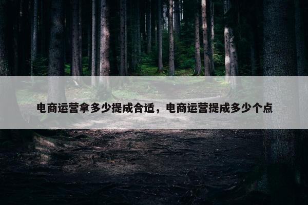 电商运营拿多少提成合适，电商运营提成多少个点