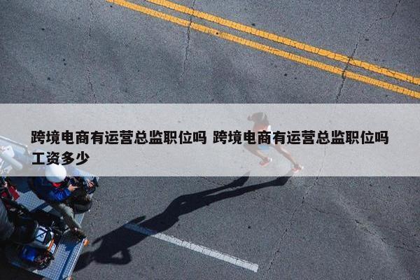 跨境电商有运营总监职位吗 跨境电商有运营总监职位吗工资多少