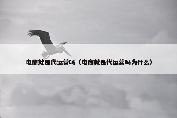 电商就是代运营吗（电商就是代运营吗为什么）