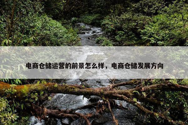 电商仓储运营的前景怎么样，电商仓储发展方向