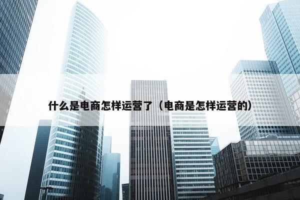 什么是电商怎样运营了（电商是怎样运营的）