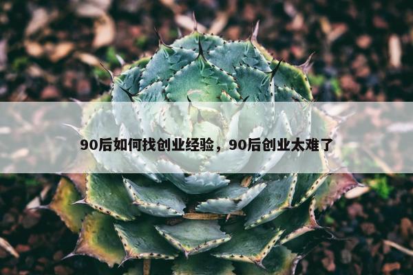 90后如何找创业经验，90后创业太难了