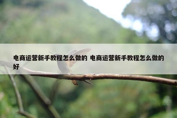 电商运营新手教程怎么做的 电商运营新手教程怎么做的好