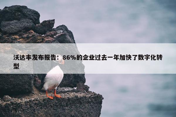 沃达丰发布报告：86%的企业过去一年加快了数字化转型