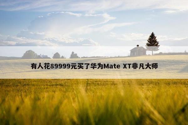 有人花89999元买了华为Mate XT非凡大师