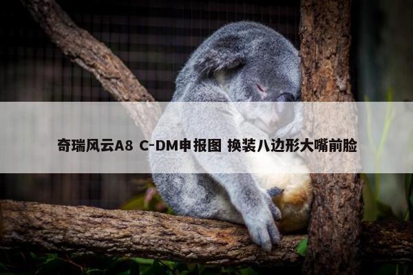 奇瑞风云A8 C-DM申报图 换装八边形大嘴前脸