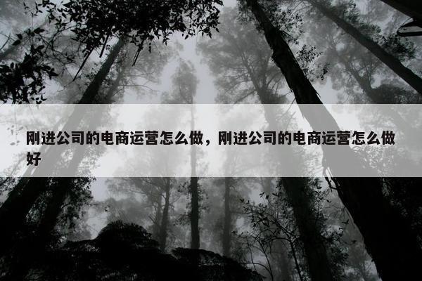 刚进公司的电商运营怎么做，刚进公司的电商运营怎么做好