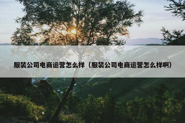 服装公司电商运营怎么样（服装公司电商运营怎么样啊）