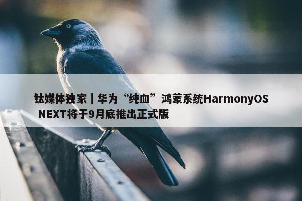 钛媒体独家｜华为“纯血”鸿蒙系统HarmonyOS NEXT将于9月底推出正式版