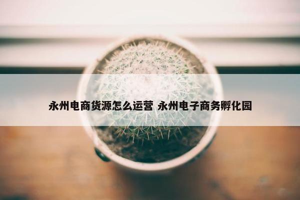 永州电商货源怎么运营 永州电子商务孵化园