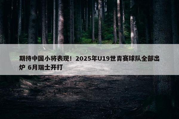 期待中国小将表现！2025年U19世青赛球队全部出炉 6月瑞士开打