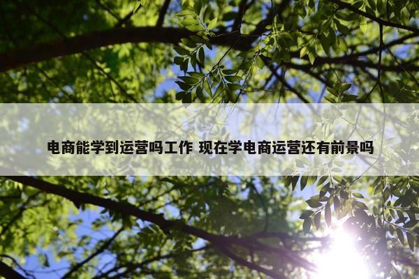 电商能学到运营吗工作 现在学电商运营还有前景吗